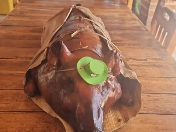 cerdo serafín
