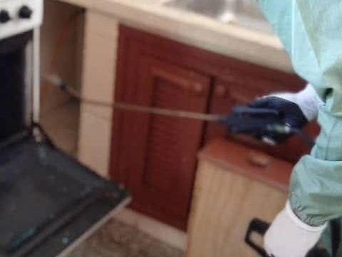 FUMIGADOR -EXTERMINADOR FUMIGACIÓN DE Cucaracha Chinche Garrapata Pulga Ratones Ratas Hormigas Moscas Mosquito