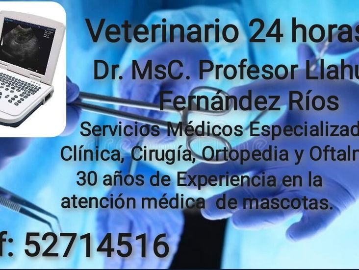 Veterinario a domicilio