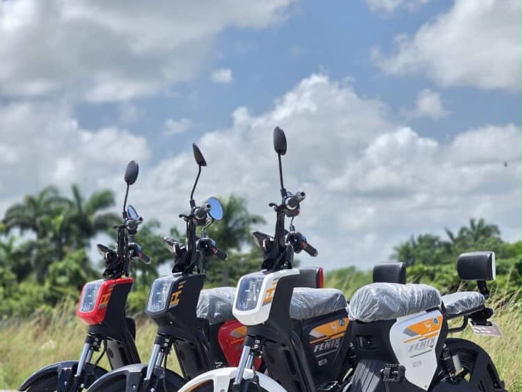 Bicimotos fénix