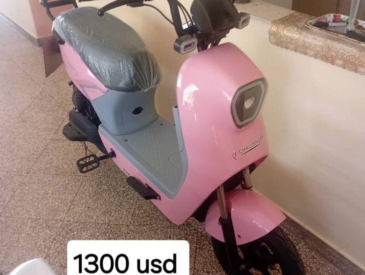 Moto electrica