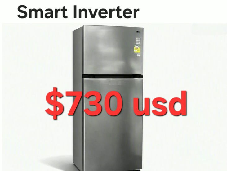 Refrigerador inverter lg 14 pies³