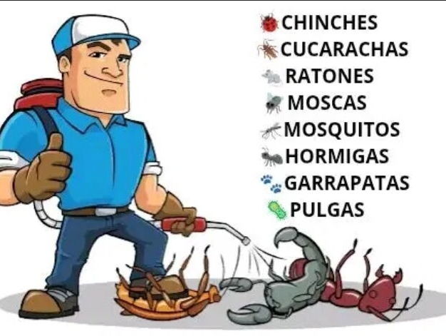 Fumigador .